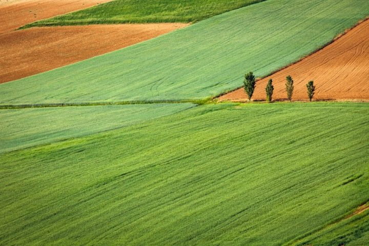 Entretiens qualitatifs avec les acteurs agricoles